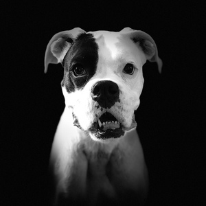 Fundraising Page: AnnMarie Marciel